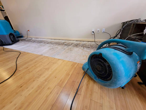 Professional Burst Pipe Water Damage technician working in Ashland, AL